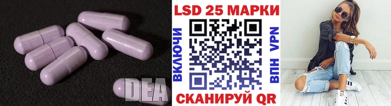 ЛСД экстази ecstasy  Шенкурск 