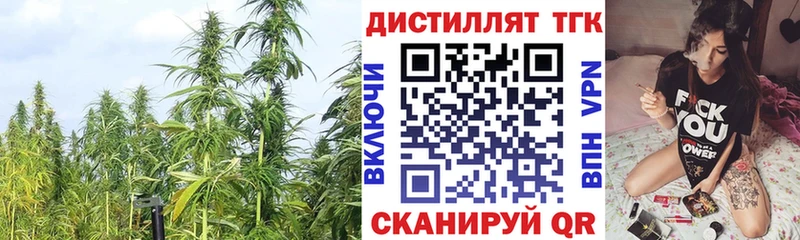 что такое   ссылка на мегу ССЫЛКА  Дистиллят ТГК концентрат  Шенкурск 