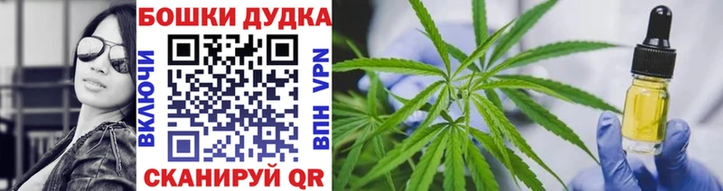 Каннабис SATIVA & INDICA  купить   Шенкурск 